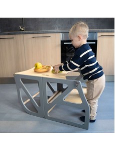  Model: SecurestepColor: Gris